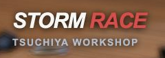 STORM RACE